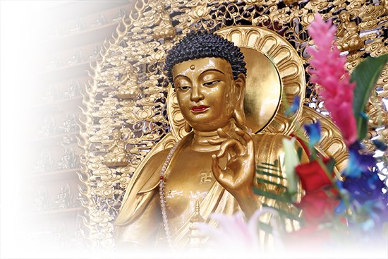 《金刚经》要义(六)